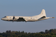 German Navy Lockheed P-3C Orion (6003) at  Hamburg - Fuhlsbuettel (Helmut Schmidt), Germany