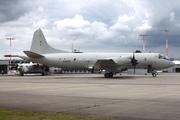 German Navy Lockheed P-3C Orion (6003) at  Lübeck-Blankensee, Germany