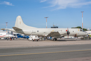 German Navy (Marineflieger) Lockheed P-3C Orion (6003) at  Lübeck-Blankensee, Germany