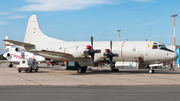 German Navy Lockheed P-3C Orion (6003) at  Lübeck-Blankensee, Germany