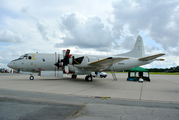 German Navy (Marineflieger) Lockheed P-3C Orion (6003) at  Lübeck-Blankensee, Germany