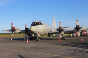 German Navy Lockheed P-3C Orion (6004) at  Gdynia - Oksywie, Poland