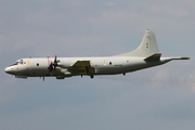 German Navy (Marineflieger) Lockheed P-3C Orion (6004) at  Hamburg - Fuhlsbuettel (Helmut Schmidt), Germany