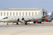 German Navy (Marineflieger) Lockheed P-3C Orion (6004) at  Luqa - Malta International, Malta