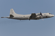 German Navy (Marineflieger) Lockheed P-3C Orion (6005) at  Nordholz - NAB, Germany