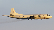 German Navy Lockheed P-3C Orion (6005) at  Hamburg - Fuhlsbuettel (Helmut Schmidt), Germany