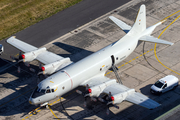 German Navy Lockheed P-3C Orion (6005) at  Nordholz - NAB, Germany