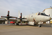 German Navy Lockheed P-3C Orion (6006) at  Hamburg - Fuhlsbuettel (Helmut Schmidt), Germany