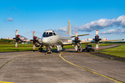 German Navy Lockheed P-3C Orion (6006) at  Nordholz/Cuxhaven - Seeflughafen, Germany