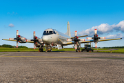 German Navy Lockheed P-3C Orion (6006) at  Nordholz/Cuxhaven - Seeflughafen, Germany