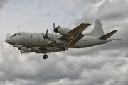 German Navy Lockheed P-3C Orion (6006) at  Geilenkirchen, Germany