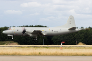 German Navy Lockheed P-3C Orion (6006) at  Geilenkirchen, Germany