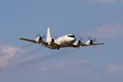 German Navy Lockheed P-3C Orion (6006) at  Hamburg - Fuhlsbuettel (Helmut Schmidt), Germany