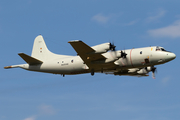 German Navy Lockheed P-3C Orion (6006) at  Hamburg - Fuhlsbuettel (Helmut Schmidt), Germany