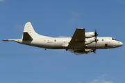 German Navy Lockheed P-3C Orion (6006) at  Hamburg - Fuhlsbuettel (Helmut Schmidt), Germany