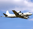 German Navy Lockheed P-3C Orion (6006) at  Hamburg - Fuhlsbuettel (Helmut Schmidt), Germany