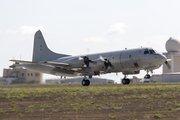 German Navy (Marineflieger) Lockheed P-3C Orion (6006) at  Luqa - Malta International, Malta