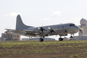 German Navy Lockheed P-3C Orion (6006) at  Luqa - Malta International, Malta