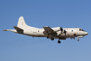 German Navy Lockheed P-3C Orion (6006) at  Luqa - Malta International, Malta