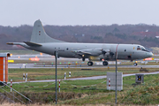 German Navy Lockheed P-3C Orion (6008) at  Hamburg - Fuhlsbuettel (Helmut Schmidt), Germany