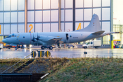 German Navy Lockheed P-3C Orion (6008) at  Hamburg - Fuhlsbuettel (Helmut Schmidt), Germany