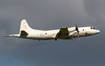 German Navy Lockheed P-3C Orion (6008) at  Nordholz - NAB, Germany