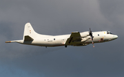 German Navy (Marineflieger) Lockheed P-3C Orion (6008) at  Nordholz - NAB, Germany