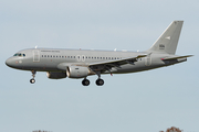 Hungarian Air Force Airbus A319-112 (604) at  Hamburg - Fuhlsbuettel (Helmut Schmidt), Germany