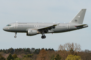 Hungarian Air Force Airbus A319-112 (604) at  Hamburg - Fuhlsbuettel (Helmut Schmidt), Germany