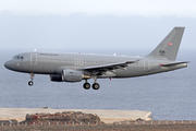 Hungarian Air Force Airbus A319-112 (604) at  Tenerife Sur - Reina Sofia, Spain