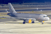 Hungarian Air Force Airbus A319-112 (604) at  Tenerife Sur - Reina Sofia, Spain