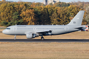 Hungarian Air Force Airbus A319-112 (604) at  Berlin - Tegel, Germany