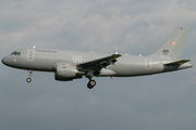 Hungarian Air Force Airbus A319-112 (605) at  Dusseldorf - International, Germany