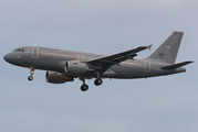 Hungarian Air Force Airbus A319-112 (605) at  Hamburg - Fuhlsbuettel (Helmut Schmidt), Germany