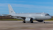 Hungarian Air Force Airbus A319-112 (605) at  Hamburg - Fuhlsbuettel (Helmut Schmidt), Germany