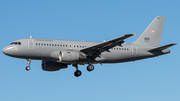 Hungarian Air Force Airbus A319-112 (605) at  Hamburg - Fuhlsbuettel (Helmut Schmidt), Germany