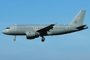 Hungarian Air Force Airbus A319-112 (605) at  Hamburg - Fuhlsbuettel (Helmut Schmidt), Germany