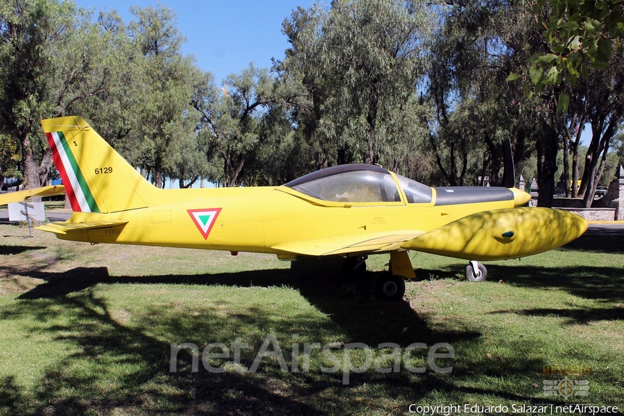 Mexican Air Force (Fuerza Aerea Mexicana) SIAI-Marchetti SF.260EU (6129) | Photo 392198