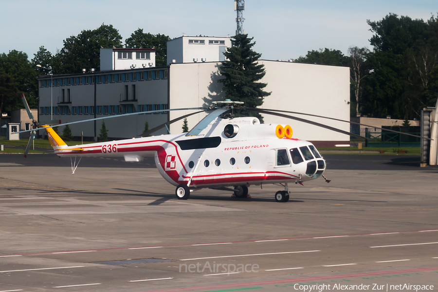 Polish Air Force (Siły Powietrzne) Mil Mi-8T Hip-C (636) | Photo 326925
