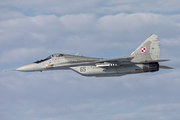 Polish Air Force (Siły Powietrzne) Mikoyan-Gurevich MiG-29A Fulcrum (65) at  Malbork, Poland