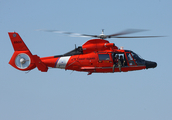United States Coast Guard Aerospatiale MH-65D Dolphin (6508) at  DFW Metroplex, United States