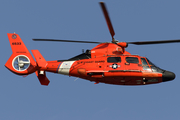 United States Coast Guard Aerospatiale HH-65C Dolphin (6533) at  New Orleans, United States