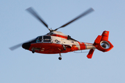 United States Coast Guard Aerospatiale HH-65C Dolphin (6584) at  Los Angeles - International, United States