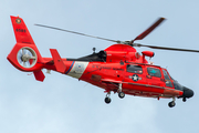United States Coast Guard Aerospatiale MH-65D Dolphin (6585) at  San Juan - Luis Munoz Marin International, Puerto Rico