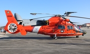 United States Coast Guard Aerospatiale MH-65E Dolphin (6596) at  Tampa - MacDill AFB, United States