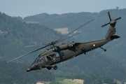 Austrian Air Force Sikorsky S-70A-42 Black Hawk (6M-BA) at  Zeltweg, Austria
