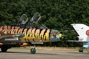 Polish Air Force (Siły Powietrzne) Sukhoi Su-22UM-3K Fitter-G (707) at  Kleine Brogel AFB, Belgium