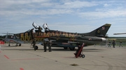 Polish Air Force (Siły Powietrzne) Sukhoi Su-22UM-3K Fitter-G (707) at  Florennes AFB, Belgium