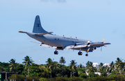Brazilian Air Force (Forca Aerea Brasileira) Lockheed P-3AM Orion (FAB7203) at  Salvador - International (Deputado Luís Eduardo Magalhães), Brazil
