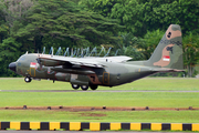 Singapore Air Force Lockheed C-130H Hercules (730) at  Paya Lebar AFB, Singapore